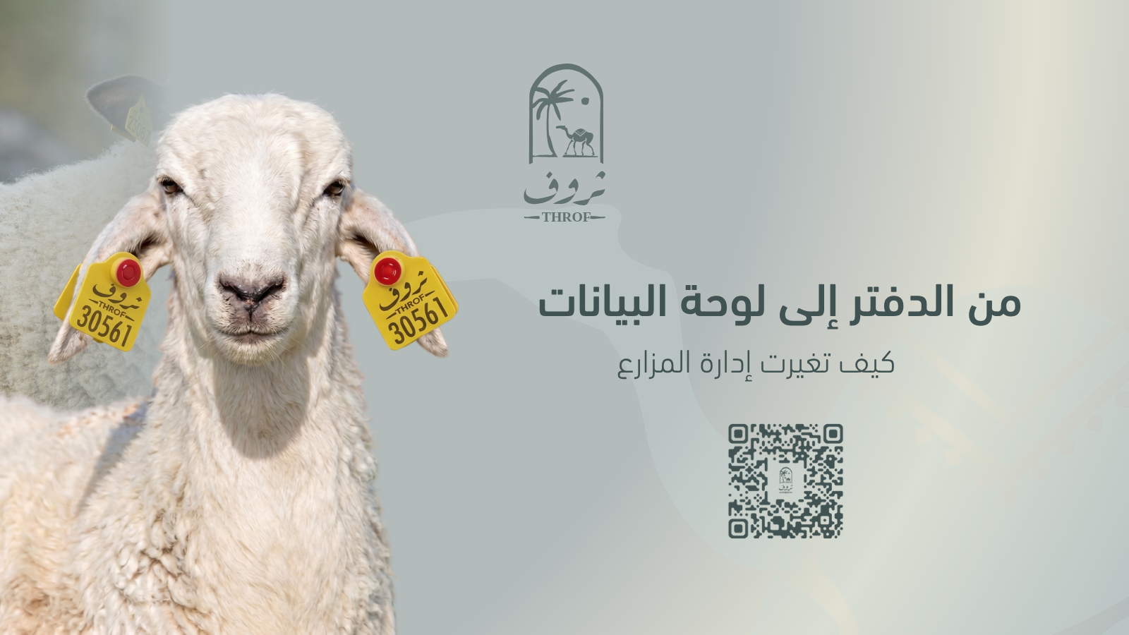 من الدفتر إلى لوحة البيانات: كيف غيّر التحول الرقمي إدارة المزارع الحديثة — ثروف