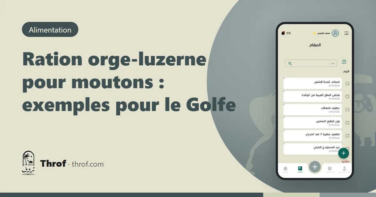 Ration orge-luzerne pour moutons dans le Golfe — Throf