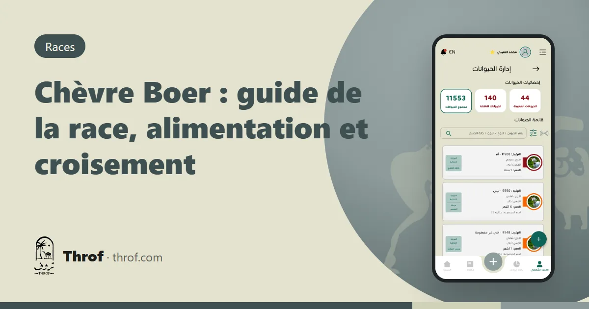 Guide de la chèvre Boer : un bouc Boer blanc à tête brun-rouge dans une ferme — Throf