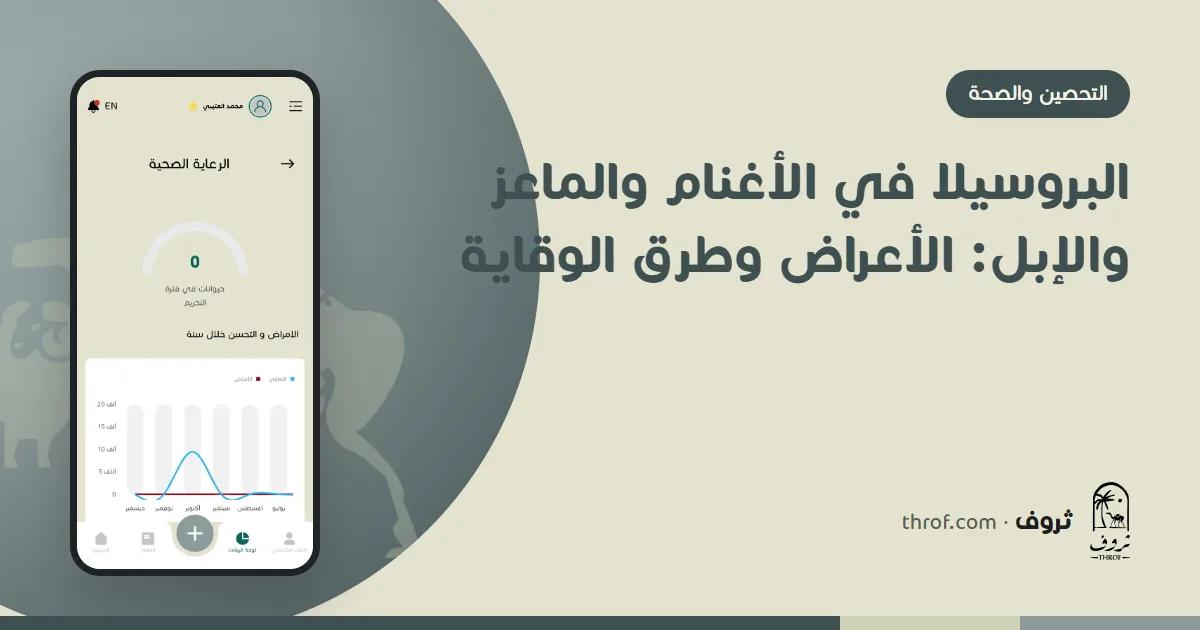 طبيب بيطري يأخذ عينة دم من ماعز لفحص البروسيلا — ثروف