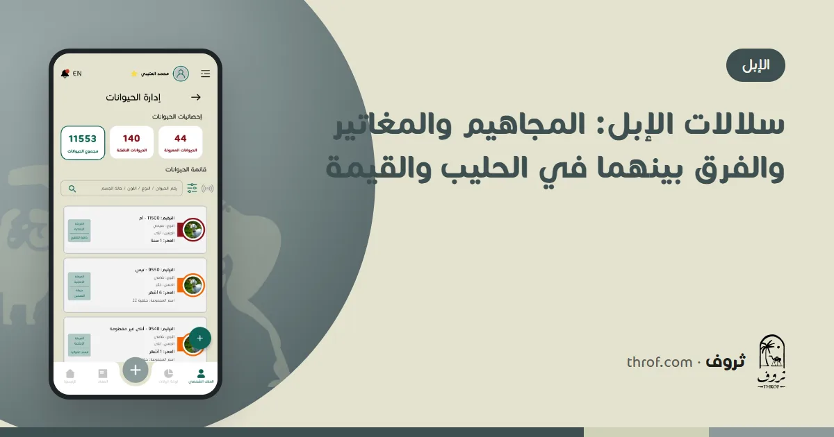مقارنة بين إبل المجاهيم السوداء والمغاتير البيضاء — ثروف