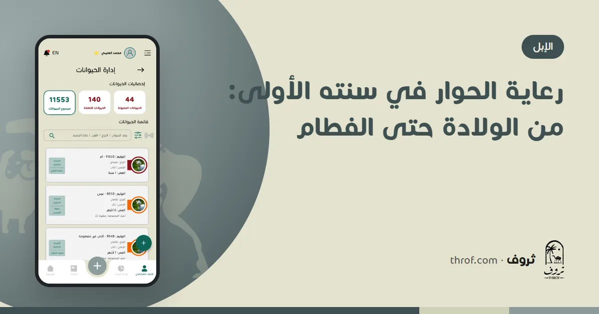 ناقة مع حوارها حديث الولادة — ثروف