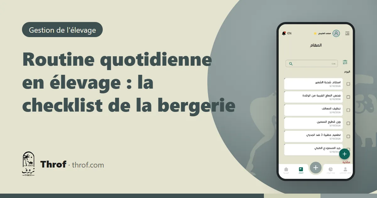 Checklist de la routine quotidienne dans une bergerie — Throf