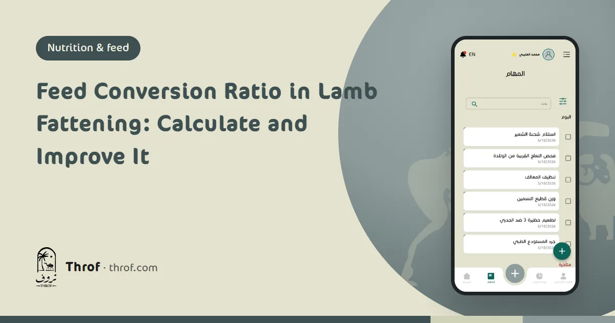 Feed conversion ratio in lamb fattening — Throf