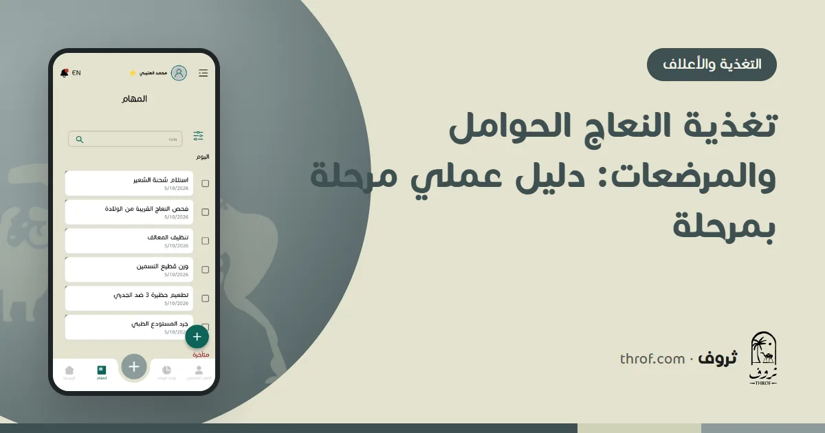 تغذية النعاج الحوامل والمرضعات حسب المرحلة — ثروف