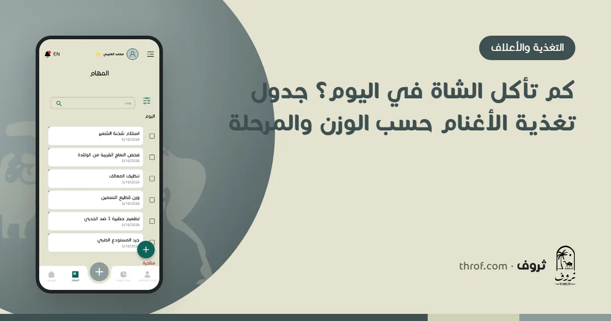 كم تأكل الشاة في اليوم وجدول تغذية الأغنام — ثروف