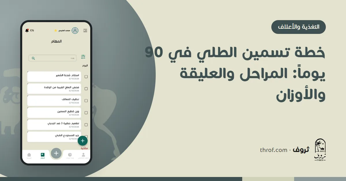خطة تسمين الطلي في 90 يوماً — ثروف