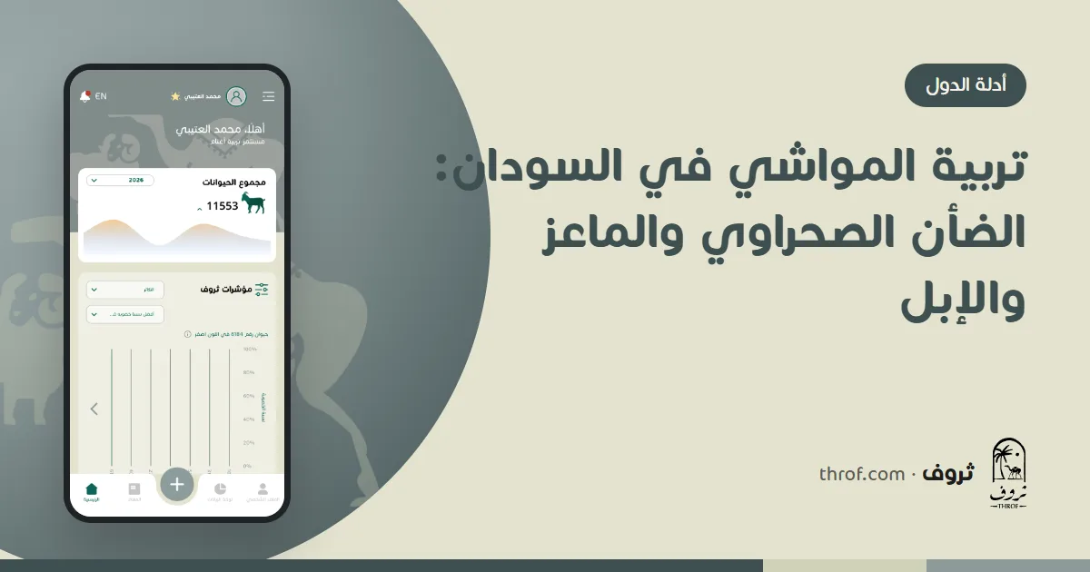 ضأن صحراوي سوداني وإبل في مراعي الخريف بكردفان — تربية المواشي في السودان — ثروف