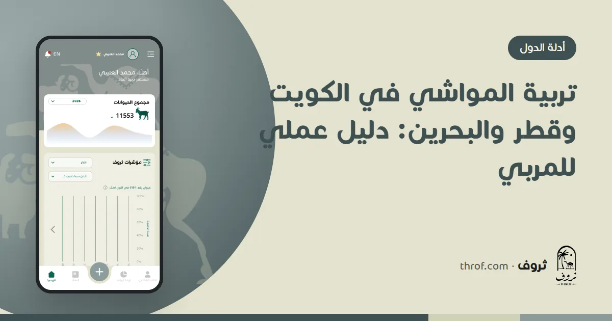 أغنام وماعز في حظيرة مظللة بإحدى مزارع الخليج — تربية المواشي في الكويت وقطر والبحرين — ثروف