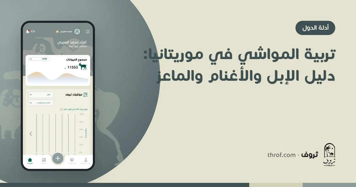 إبل وأغنام عند نقطة ماء في الساحل الموريتاني — ثروف