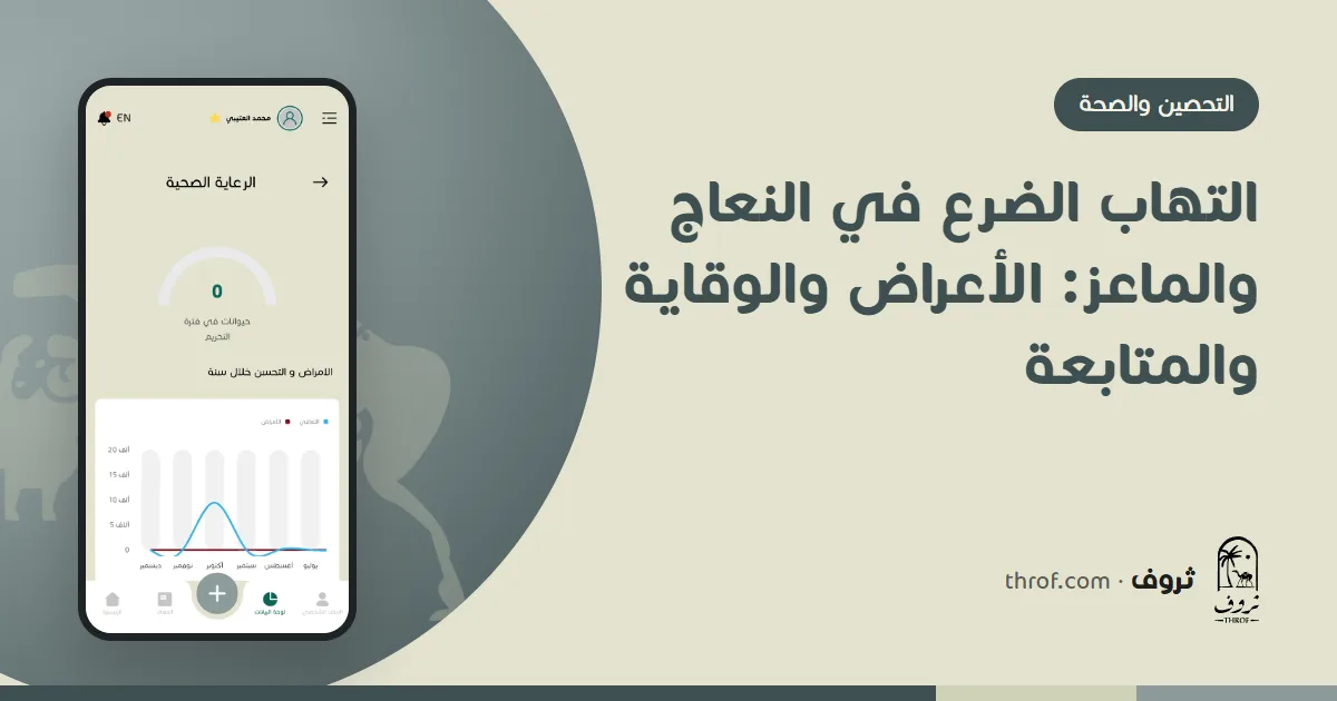 فحص ضرع نعجة للكشف عن التهاب الضرع — ثروف