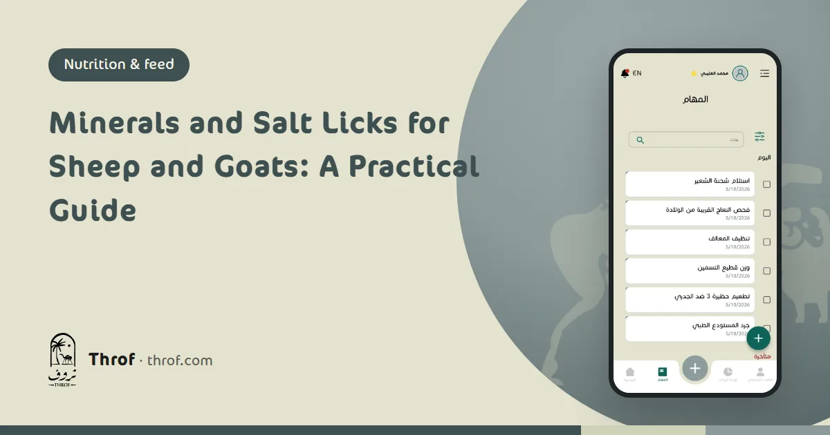 Minerals and salt licks for sheep and goats — Throf