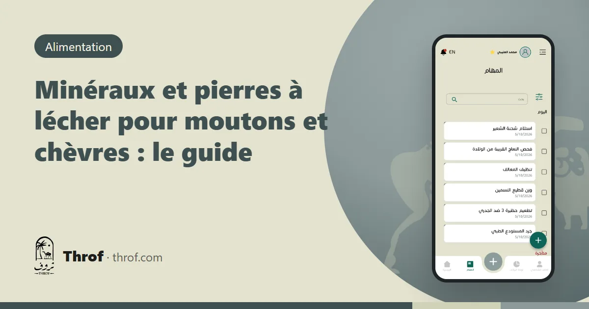 Minéraux et pierres à lécher pour moutons et chèvres — Throf