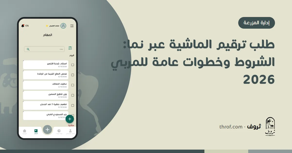 طلب ترقيم الماشية عبر نما: مربٍّ يقدّم الطلب من جواله بجانب حظيرة الأغنام — ثروف