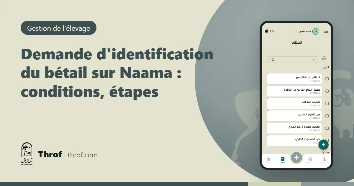 Demande d'identification du bétail sur Naama : un éleveur remplit la demande sur son téléphone près d'une bergerie — Throf