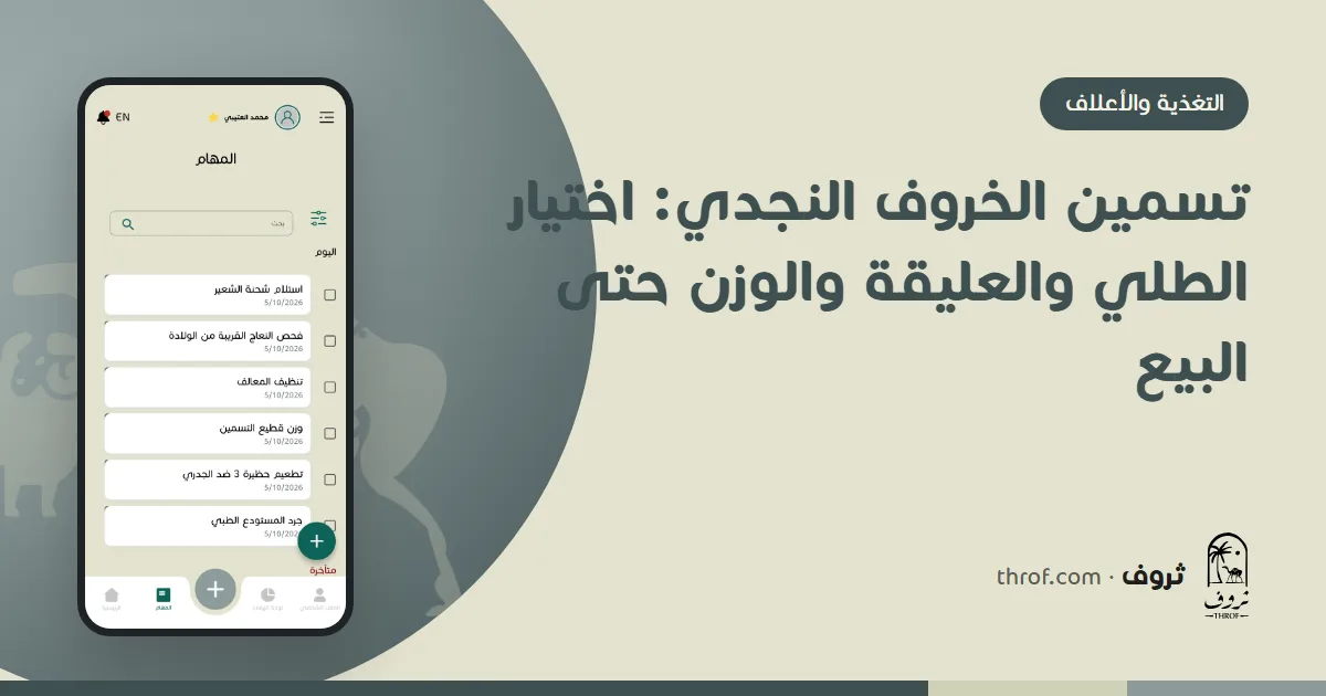 تسمين الخروف النجدي في الحظيرة — ثروف