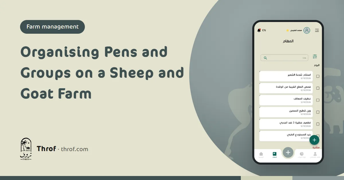 Organising sheep and goat pens into groups by production stage — Throf