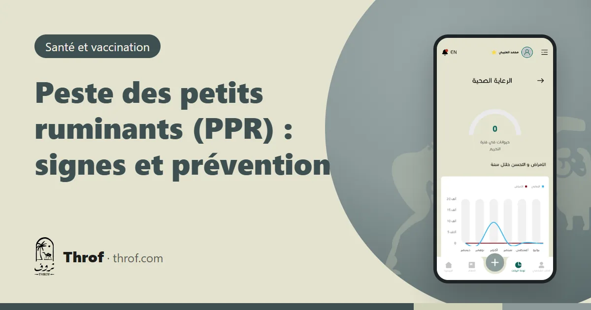 Peste des petits ruminants chez les moutons et les chèvres, signes et prévention — Throf