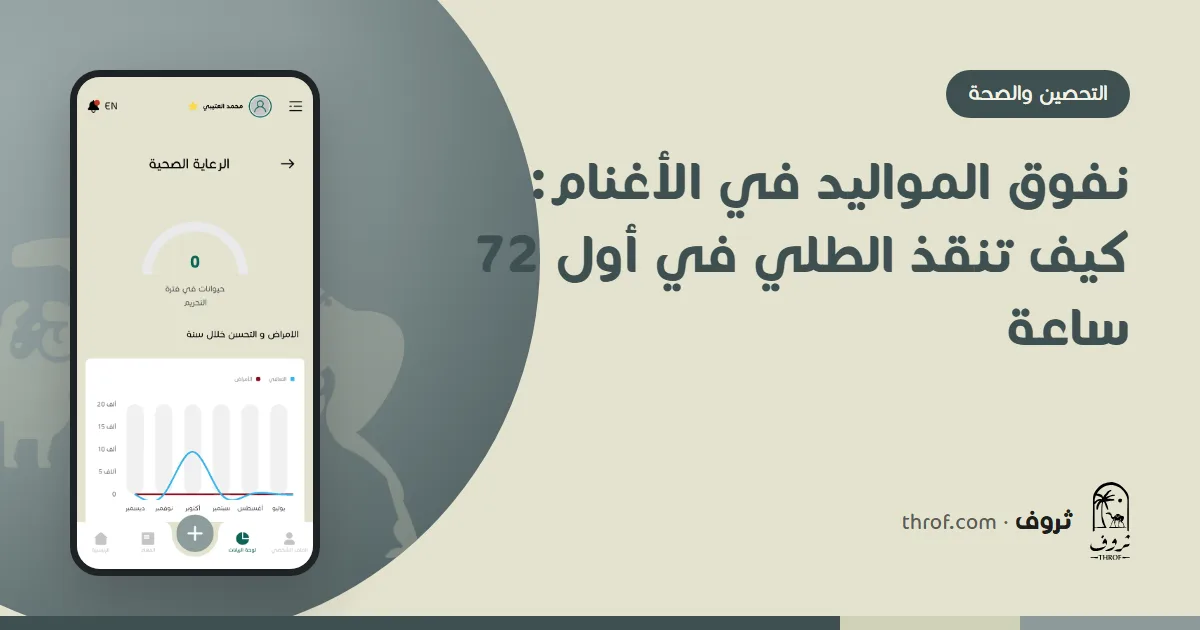 نعجة مع مولودها في حجرة ولادة نظيفة ومظللة — ثروف