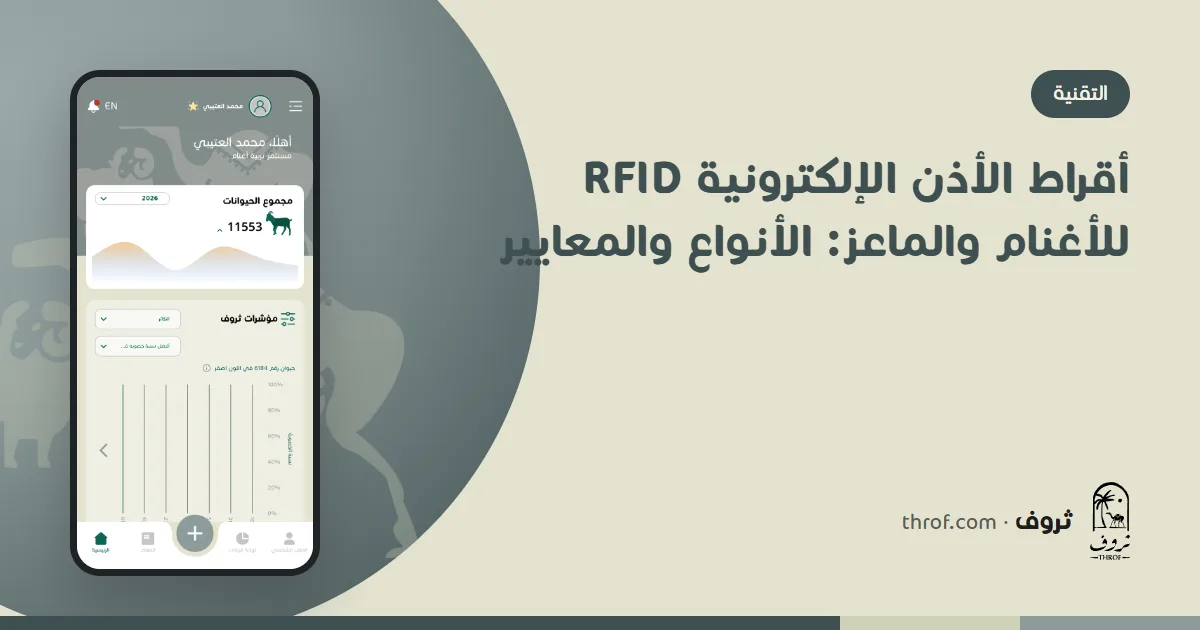 أقراط الأذن الإلكترونية RFID للأغنام والماعز بجانب قارئ بلوتوث وجوال يعرض رقم الحيوان — ثروف