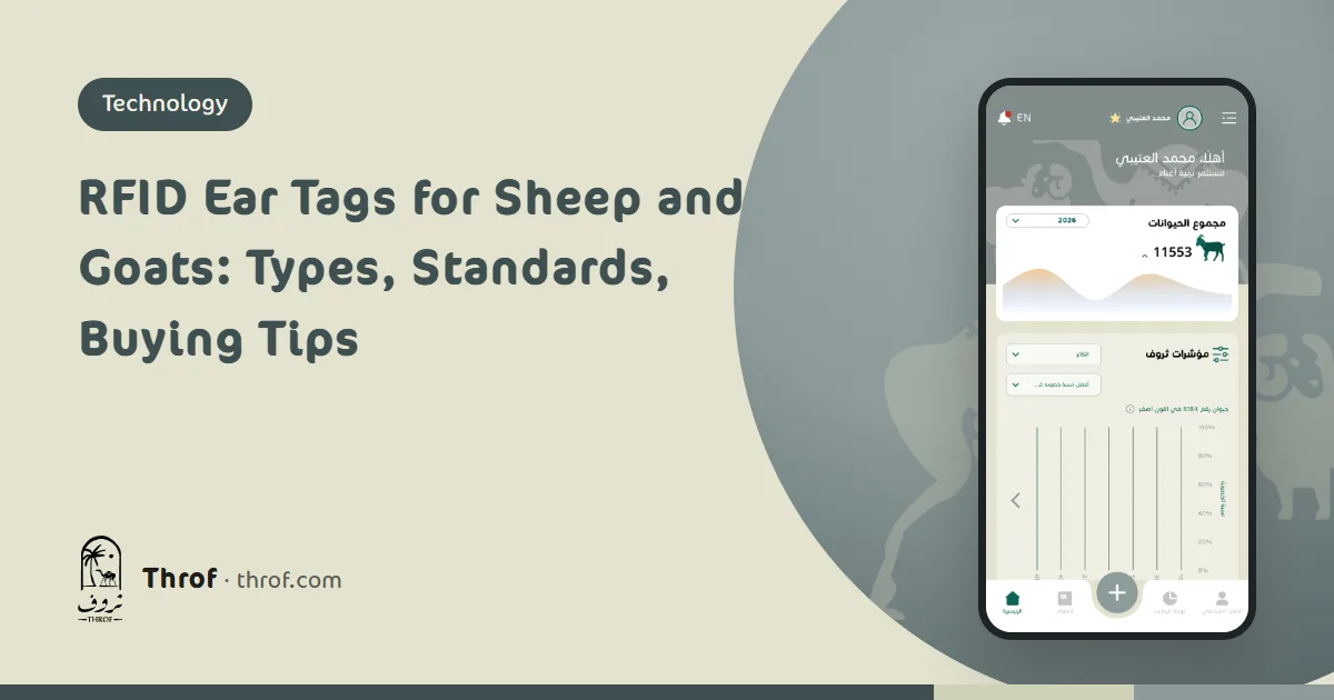 RFID ear tags for sheep and goats next to a Bluetooth reader and a phone showing the animal number — Throf