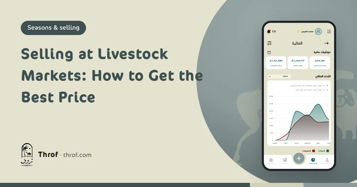 Farmer presenting sheep and goats for sale at a livestock market — Throf
