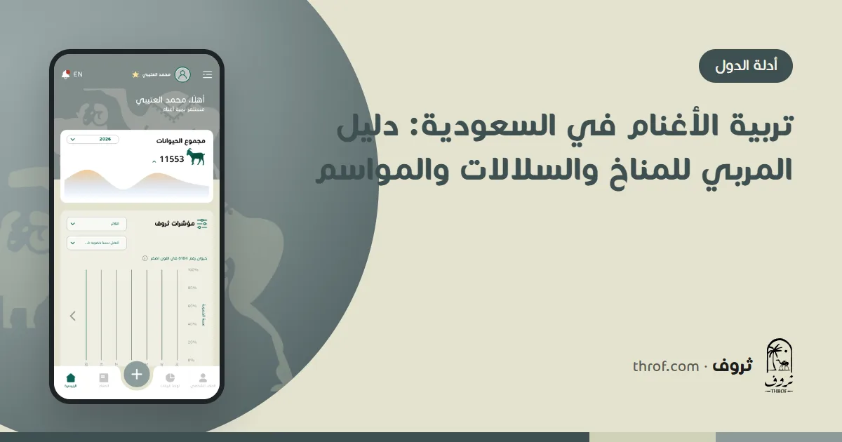 حلال نجدي ونعيمي في شبك بالسعودية — ثروف