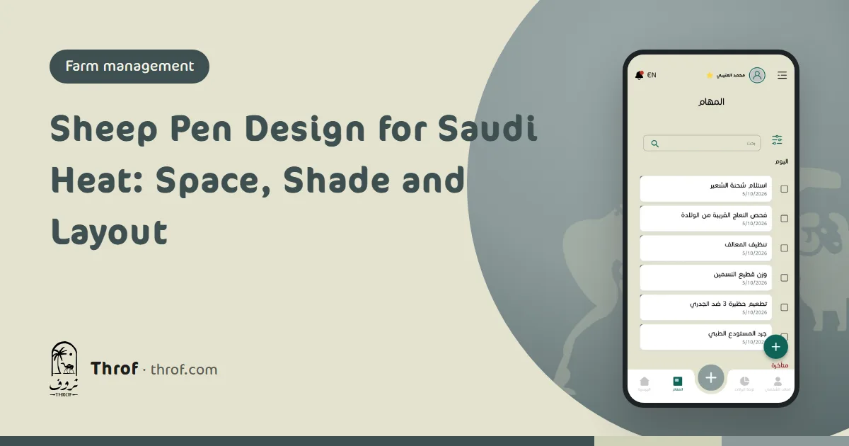 Layout of a sheep pen with a high shade roof, separate pens and feeders in Saudi Arabia — Throf