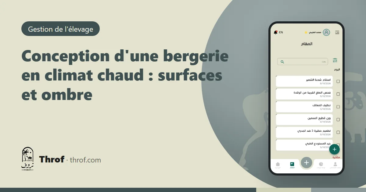 Plan d'une bergerie avec ombrière haute, enclos séparés et auges en Arabie saoudite — Throf