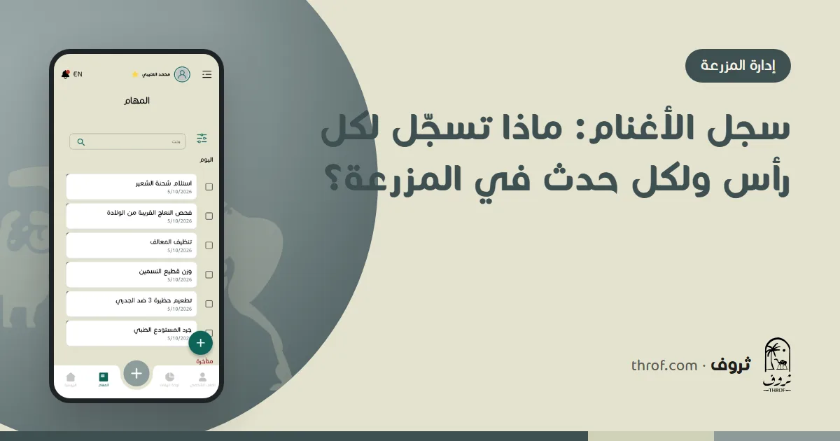 سجل الأغنام: مربٍّ يدوّن بيانات نعجة ومولودها داخل الحظيرة — ثروف