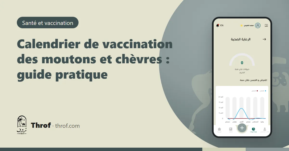 Calendrier de vaccination mensuel d'un troupeau ovin avec les dates de rappel — Throf