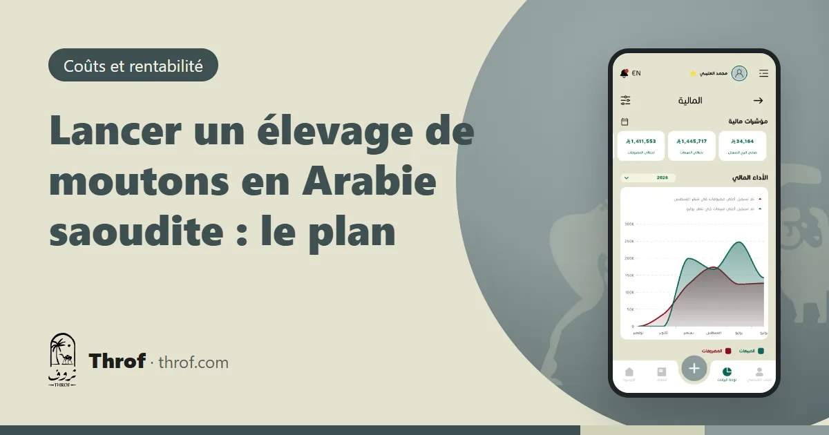 Planifier un nouvel élevage de moutons en Arabie saoudite — Throf