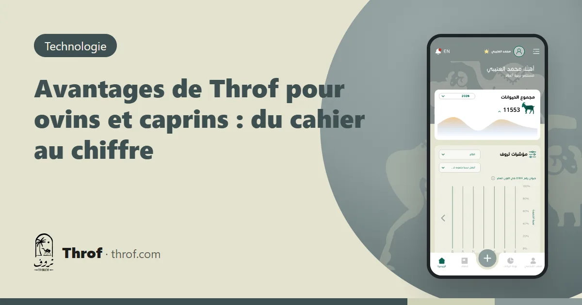 Avantages de Throf pour ovins et caprins : un vieux cahier à côté d'un téléphone affichant la fiche d'une brebis — Throf