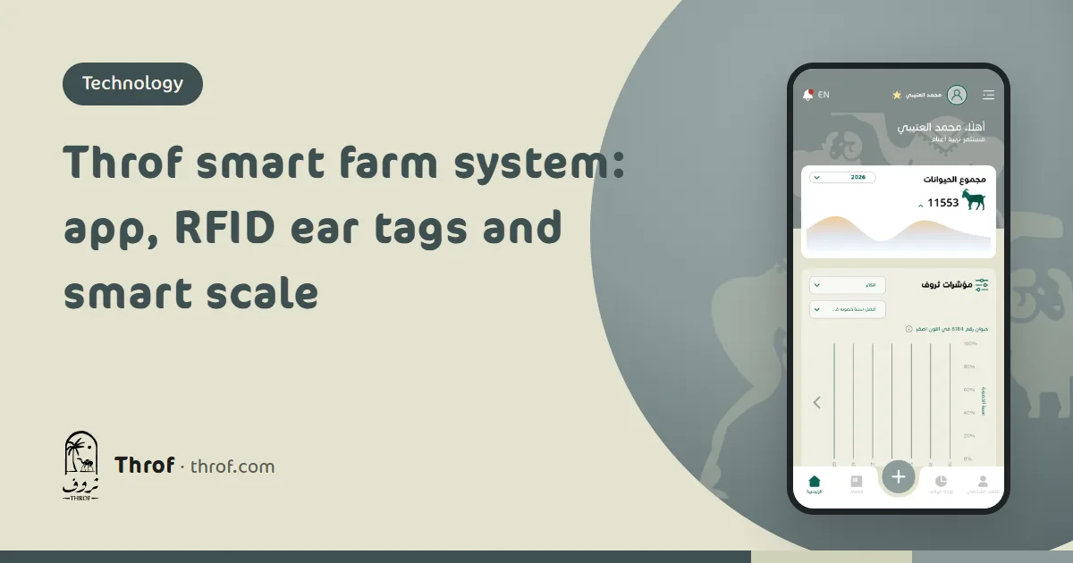 Throf smart farm system: a phone, an RFID ear tag, a Bluetooth reader and a livestock scale in a sheep barn — Throf