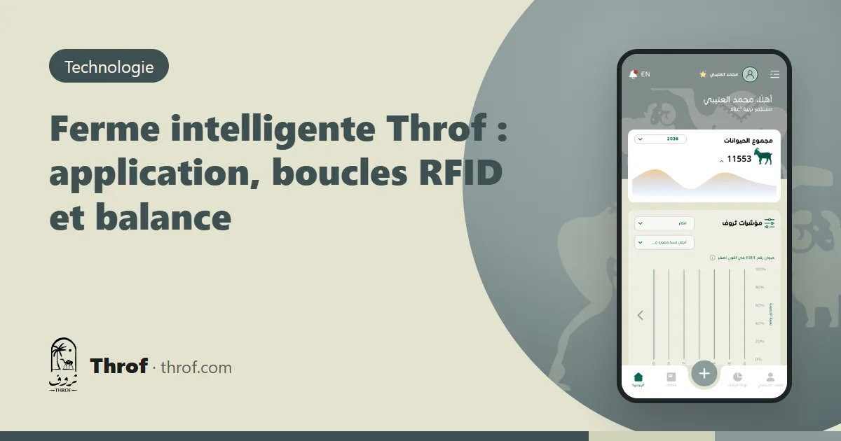 Ferme intelligente Throf : un téléphone, une boucle RFID, un lecteur Bluetooth et une balance dans une bergerie — Throf
