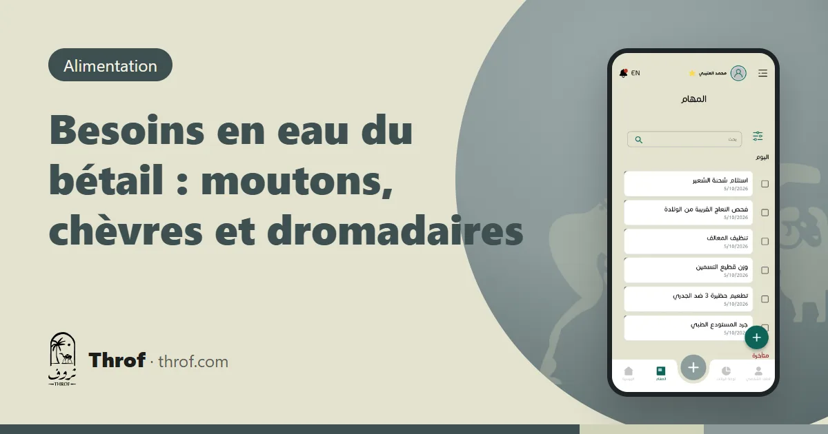 Besoins en eau des moutons, chèvres et dromadaires — Throf