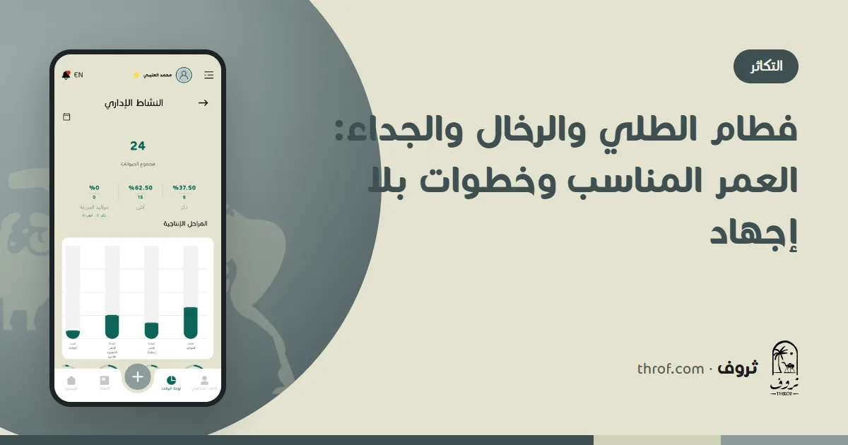 طلي مفطومة تأكل العلف في الحظيرة — ثروف