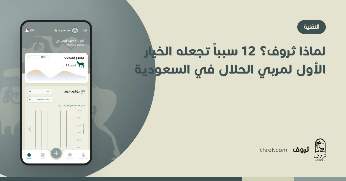 لماذا ثروف؟ مربٍّ سعودي يتابع حلاله من الجوال بين الأغنام والإبل — ثروف