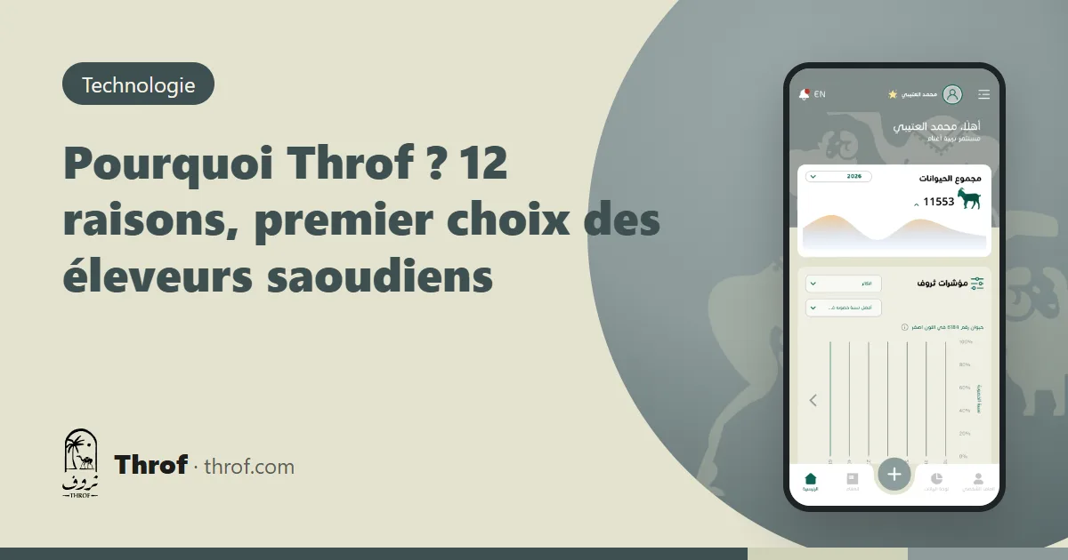 Pourquoi Throf : un éleveur saoudien suit ses moutons et dromadaires sur son téléphone — Throf
