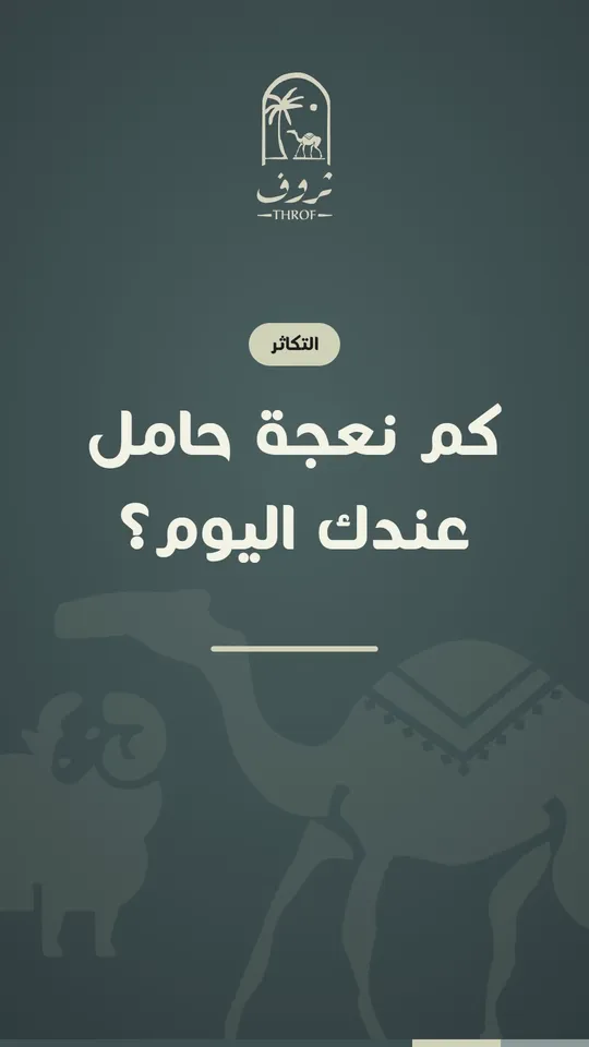 كم نعجة حامل عندك اليوم؟
