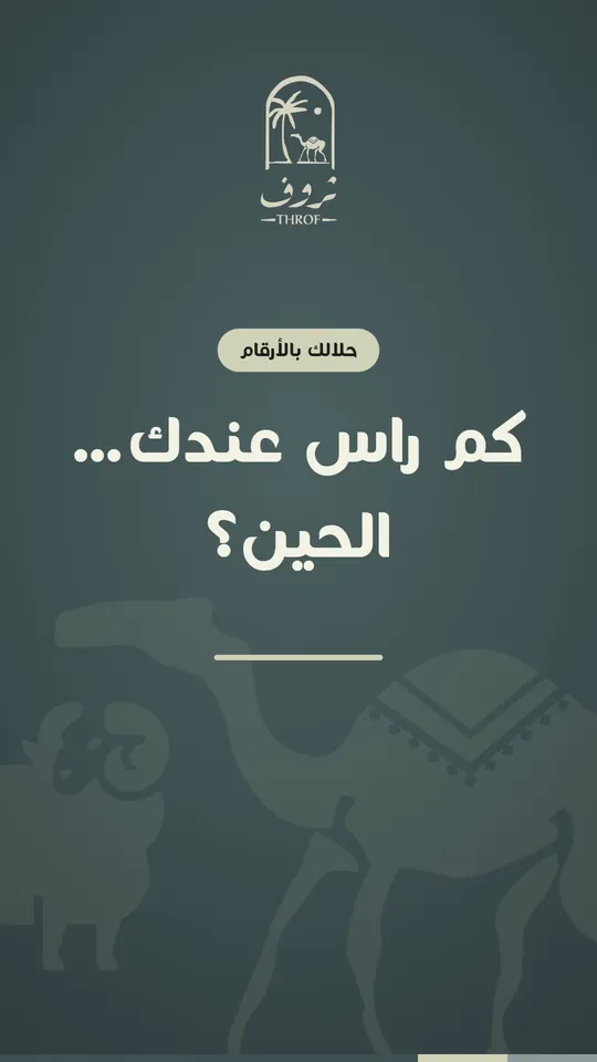كم راس عندك… الحين؟