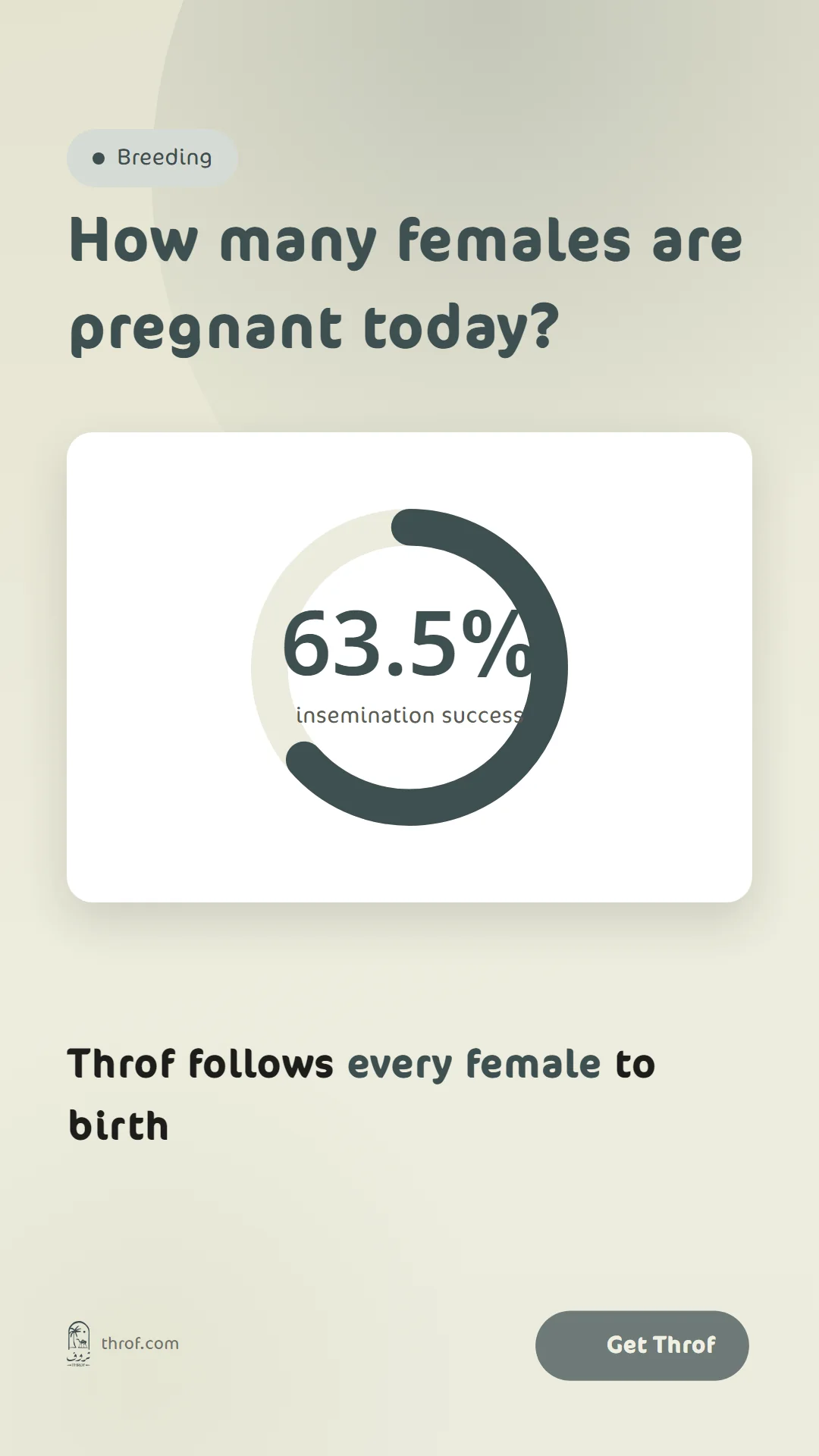 How many are pregnant?