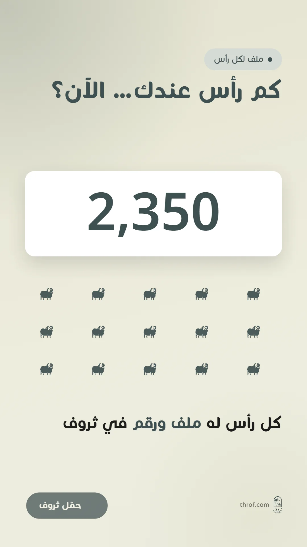 كم رأس عندك الآن؟